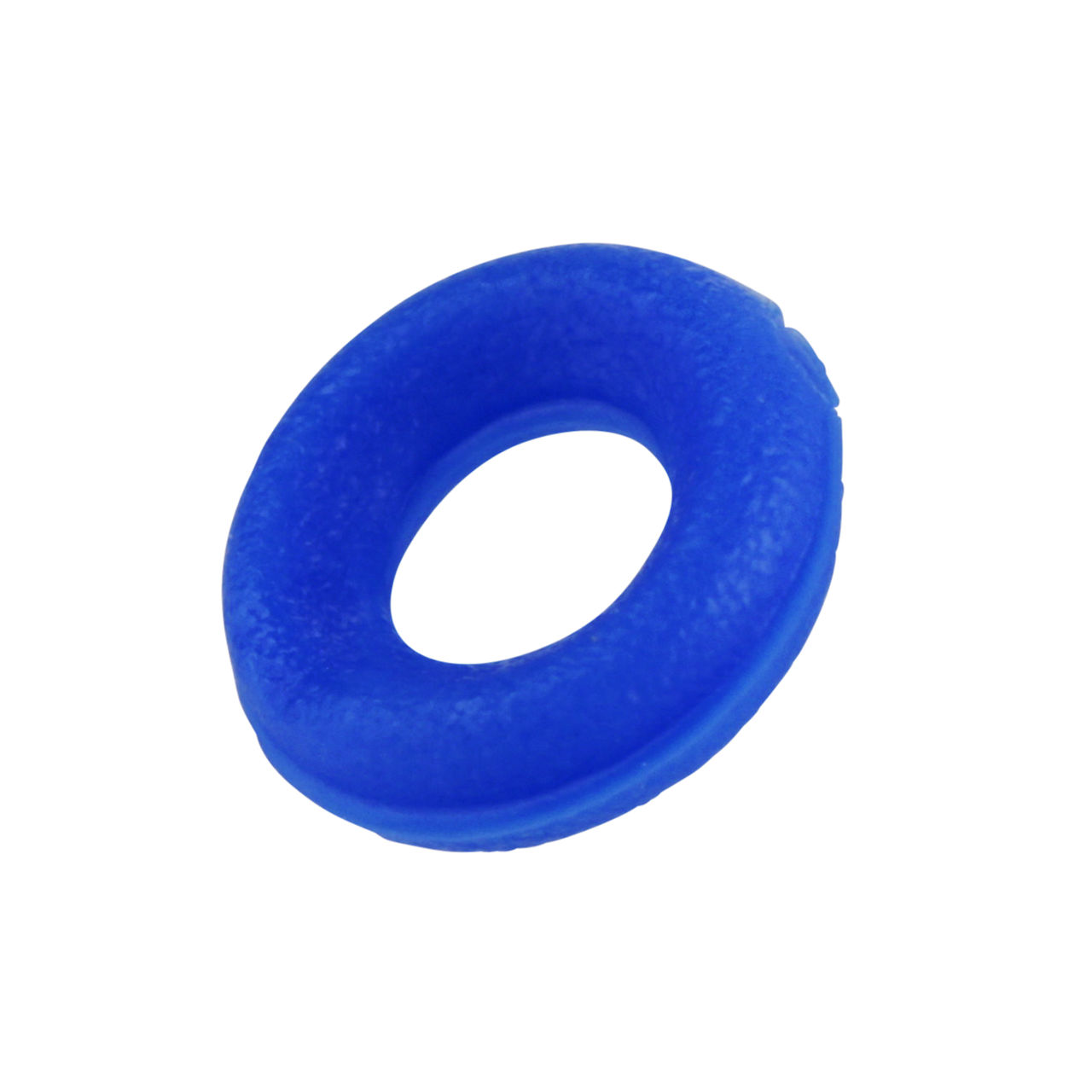 S-2 POSTERIOR BLUE