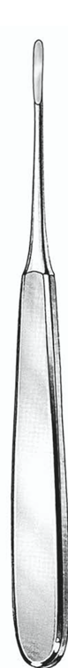 ROOT TIP ELEVATOR